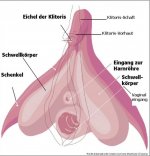 SexMedPedia-Sex-Anatomie-und-Weiblichkeit-Detail3.jpg