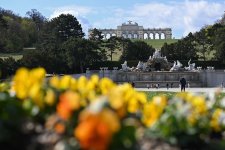 Schoenbrunn-1004-a3.jpg