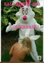 Osterhase.jpg