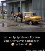 Der_Hue-Brid.jpg