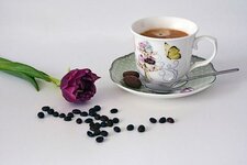 coffee-1199235__340.jpg