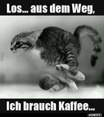 katze braucht kaffee.jpg