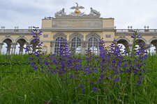 Gloriette-2905-1.jpg