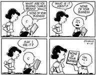 a6481c3c43b02ca3c44e9202b28d8aaf--peanuts-comics-the-peanuts.jpg