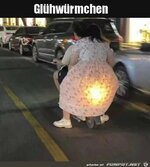 Ein_Gluehwurm.jpg