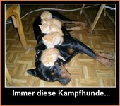 Kampfhund-h.jpg