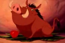 300px-Pumba.jpeg.jpg