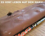 Leben-Mars.jpg