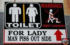 Toilet-forLady.jpg