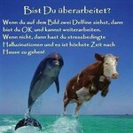 ueberarbeitet-h.jpg