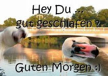 guten-morgen-hey-du-gut-geschlafen.jpg