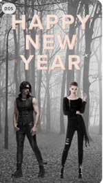 BDSM Happy New Year.png