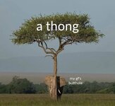 thong.jpg