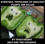 veg.jpg