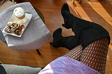 HeelsCoffee-0602-1.jpg